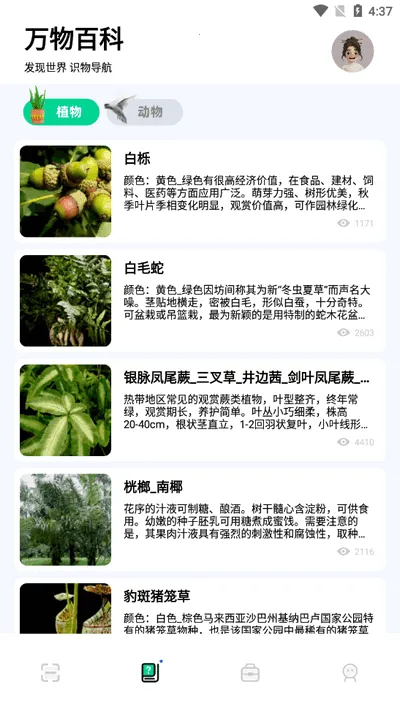 ʶɨһɨ(ʶɨһɨ(ʶ))v1.11 ֻ