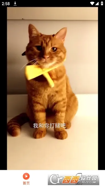 ̾2025ٷ°汾v1.0.0 ֻ