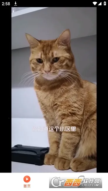 ̾2025ٷ°汾v1.0.0 ֻ