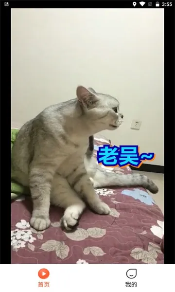 ̾2025ٷ°汾v1.0.0 ֻ