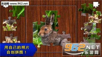 ƴͼܻ԰(ƴͼϷ)v1.0.1 Ѱ