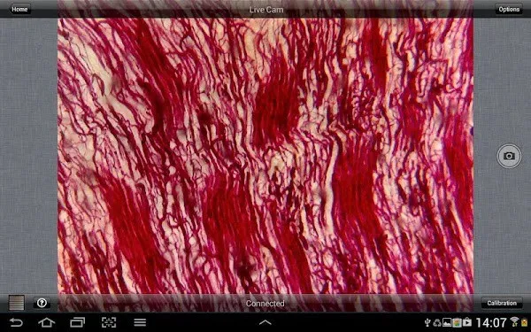 MotiConnect׿ֻv3.1.4 ׿