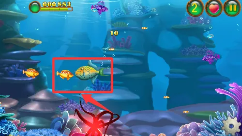 Big Fish Eat Small Fishֻ