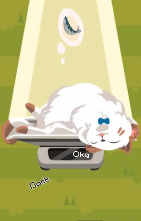 RollingCat׿ֻv1.04 ׿