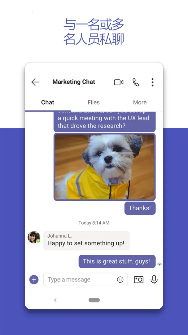 MicrosoftTeams(Э)v1416/1.0.0.2024061604 Ѱ