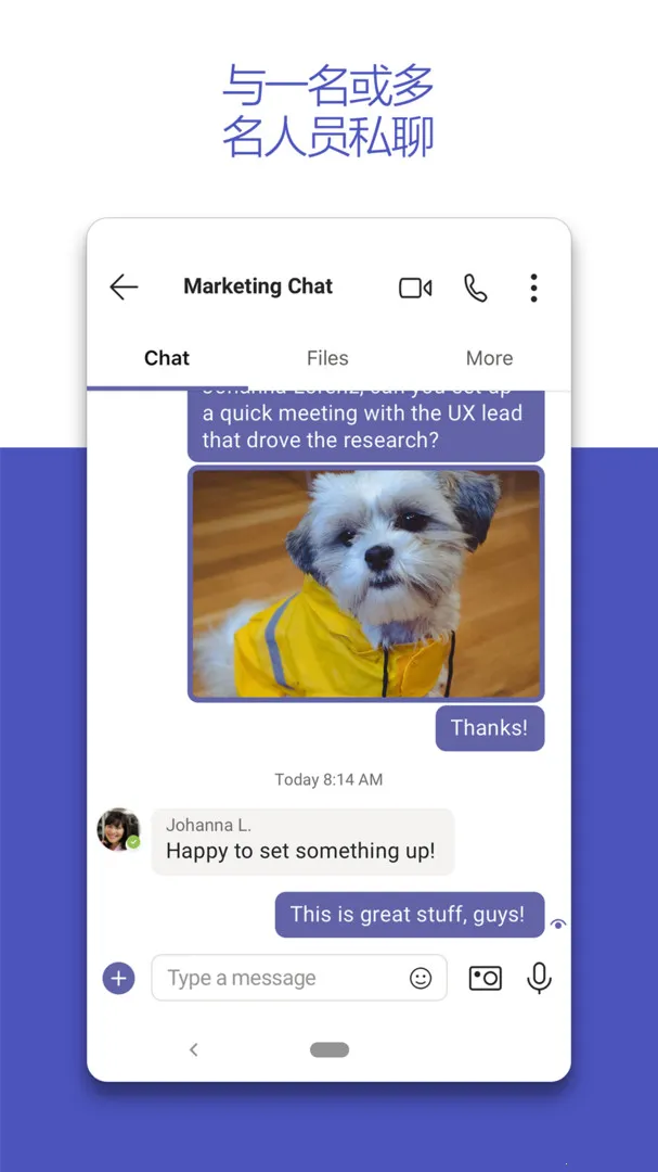 MicrosoftTeams(Э)v1416/1.0.0.2024061604 Ѱ
