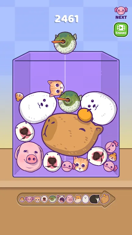 ϲ2025ٷ°汾v1.5.5 ׿