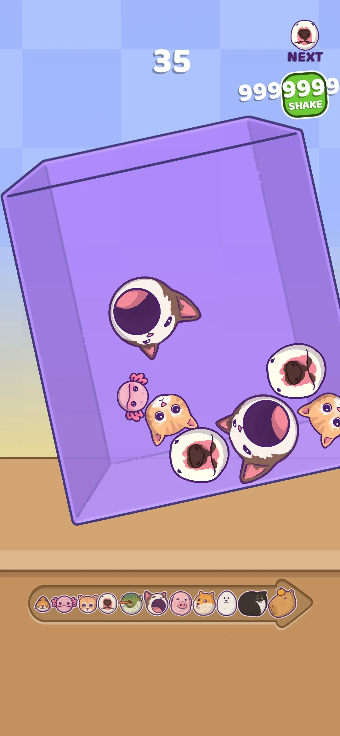 ϲ2025ٷ°汾v1.5.5 ׿