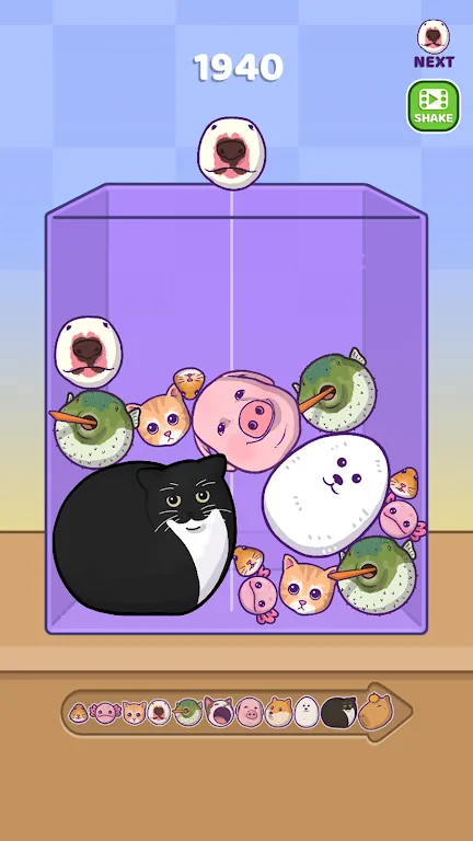 ϲ2025ٷ°汾v1.5.5 ׿