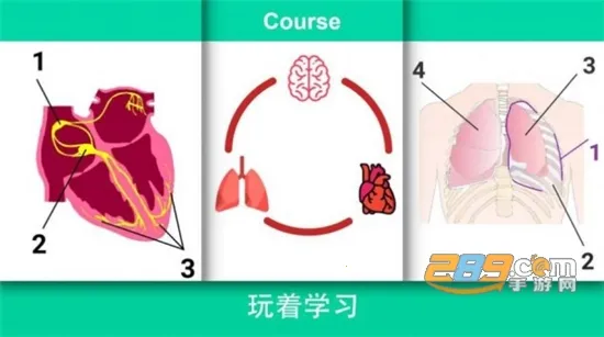 Reanimation incװ׿ֻ