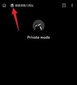 kiwi�����2025���ذ�װ