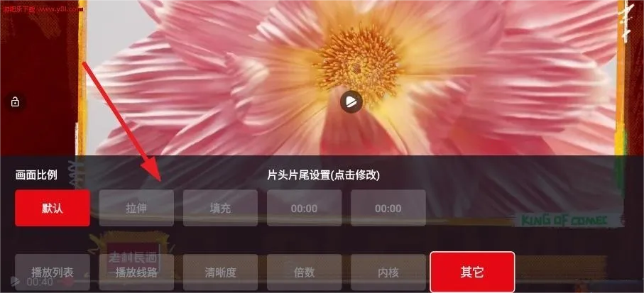 ����è(���׷������)