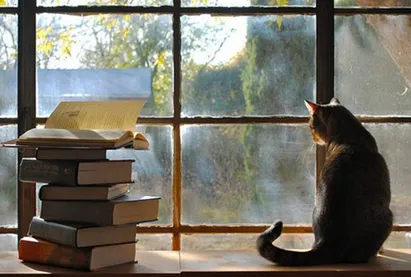 ����С˵(С˵�Ķ�����)