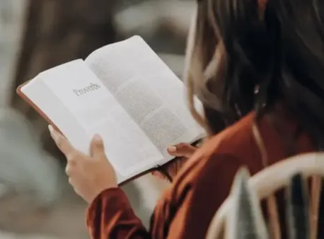 ����ͼ�������ֻ���