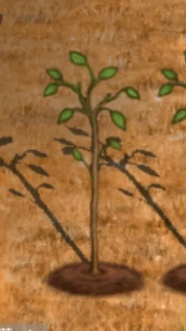 希望之村2来生(原始生存游戏) 希望之村2来生(原始生存游戏)