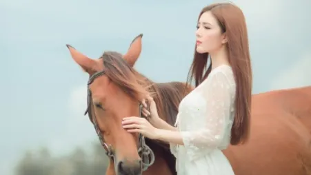 �������(������ͼ����)