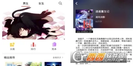 ̩��С˵(С˵�Ķ�����)