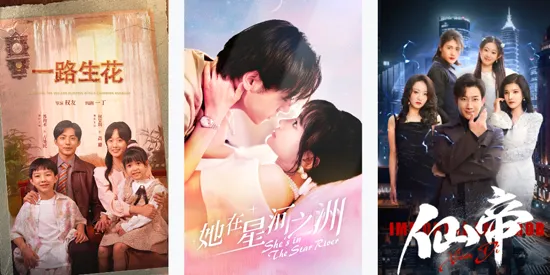 ��������(��ý�岥������)