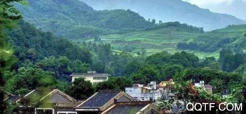 ��������(�����������)