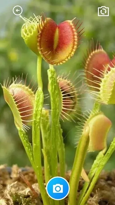 ����ȫ�ܹ����������ֻ���v1.0.0 �ֻ���