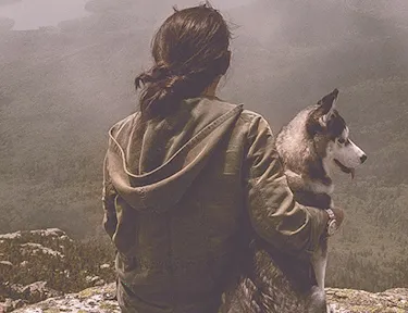 ����(��ҵ��Ӫƽ̨)