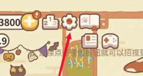 �������(è�������Ӫ��)