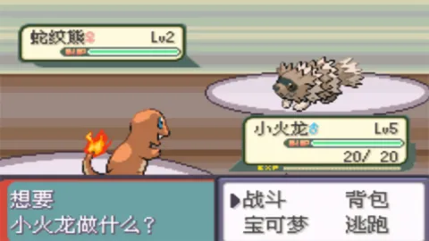 �ڴ����ִ�˵�̱�ʯ����ָ(������ð����Ϸ)v156 �ֻ���