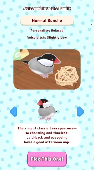 ��������2025���°汾v1.1 �ֻ���