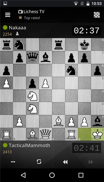lichess2025�ٷ�����v8.0.0 ��׿��