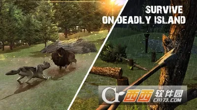 ���浺Ұ������2025�ٷ����°汾