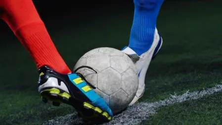 ��������2025���°汾