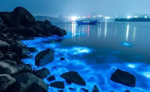 ƽ̶��2025�ٷ����°汾