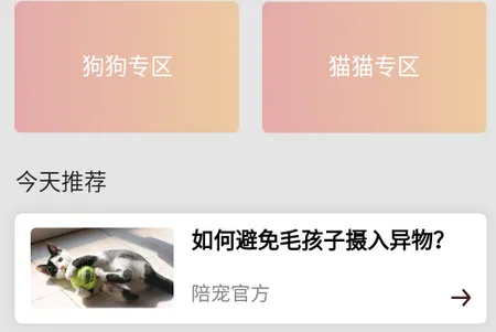 ���2026���°汾