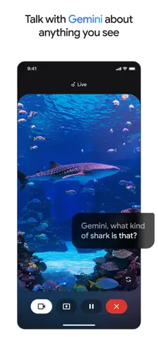 Google gemini(�Ʊʼ�AI����)v2.0 �ٷ�����