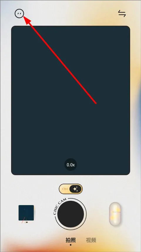 chic�������(�����������)