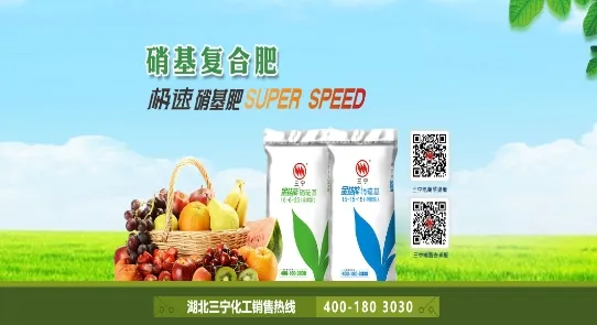 �������������ֻ���