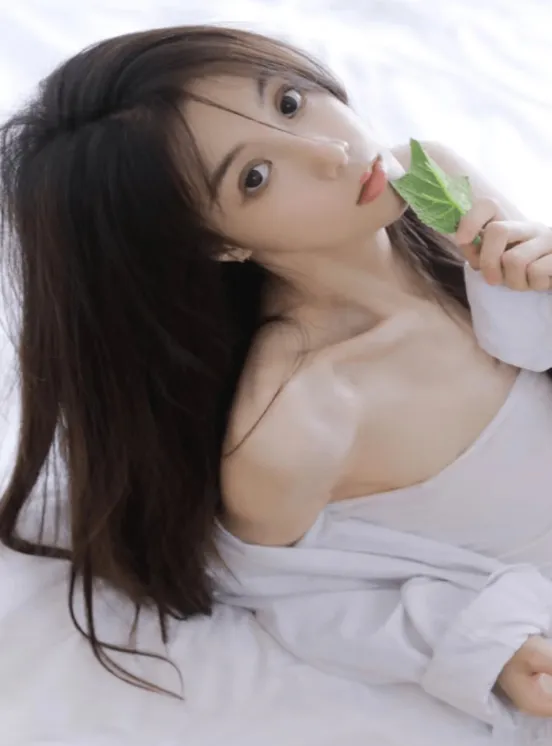 �������������ֻ���