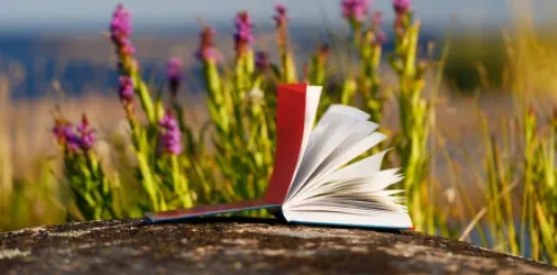 ���Ķ���