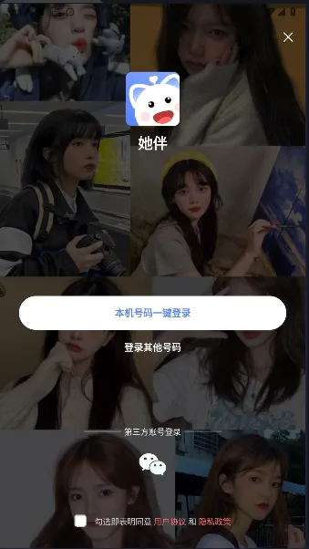 ���齻��2026���°汾