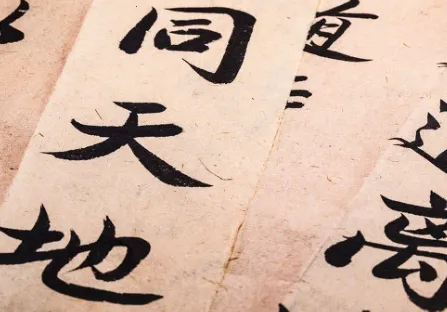 ����2026���°汾