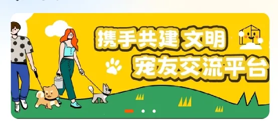 ��֮��2026�ٷ�����