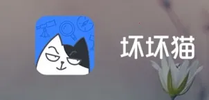 坏坏猫清爽版安卓版手机版 坏坏猫清爽版安卓版手机版