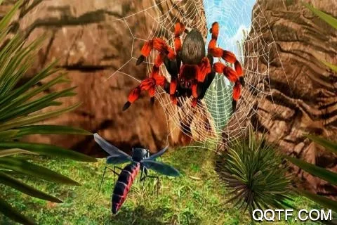 ����ģ����3Dv1.0 ��Ѱ�