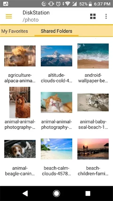 DSfile2026���°汾v4.17.2 �ֻ���