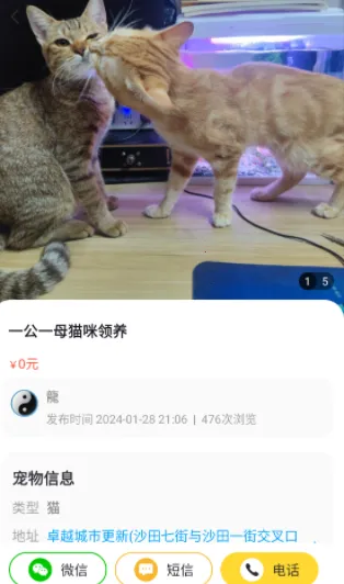 ��������������׿���ֻ���