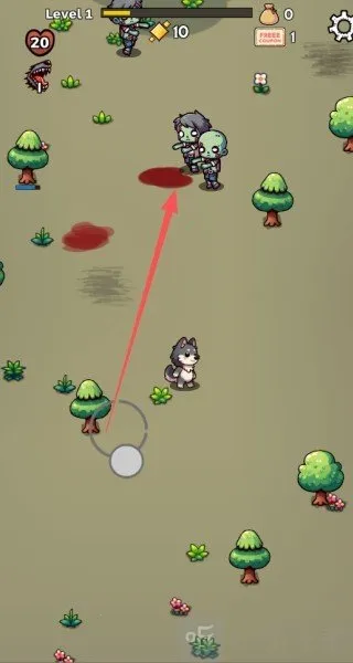 צ�ӶԿ�����2026�ٷ�����