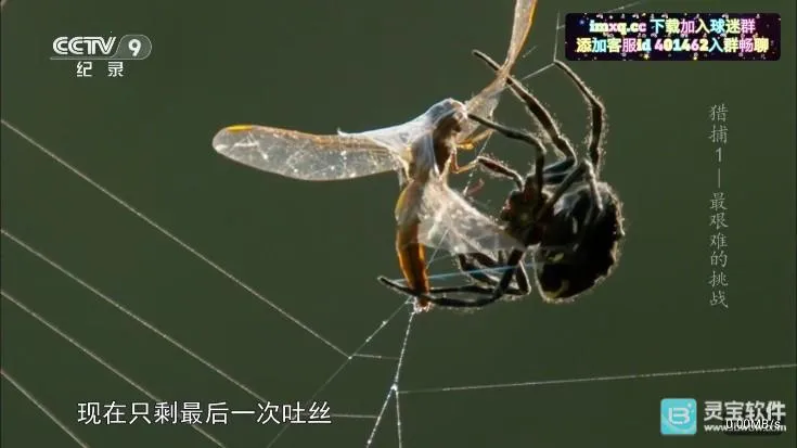 �ʺ�����ȶ�