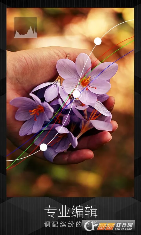 mix�˾���ʦ2026���ذ�װv4.1.3 ��Ѱ�