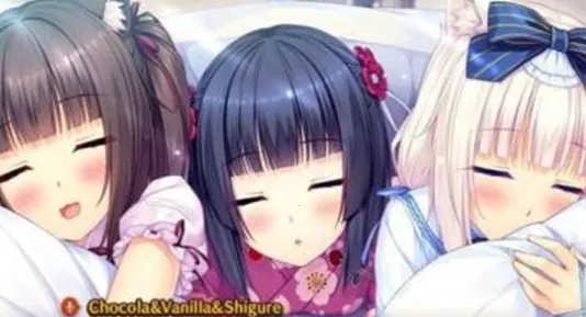 SAYORI2026���ذ�װv1.0.0.0 �ٷ�����