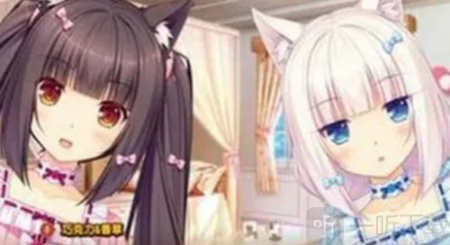 SAYORI2026���ذ�װ